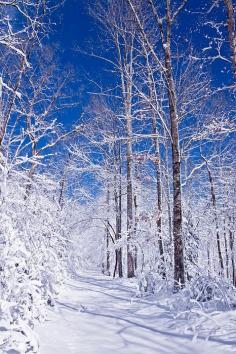 Snowy Path, Western North Carolina