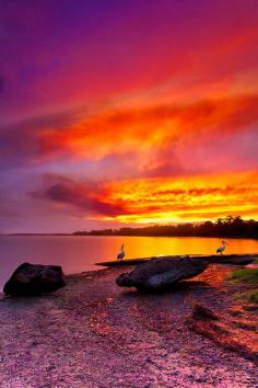 Shoalhaven River Sunset, New South Wales, Australia