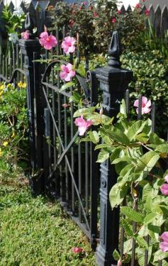 New Orleans garden gate