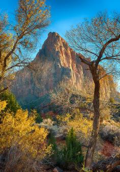 Zion National Park, Utah, United States.