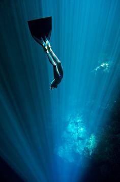 Freediving, Underwater Freediving Photography & Freedive Training in Cenotes, Mexico