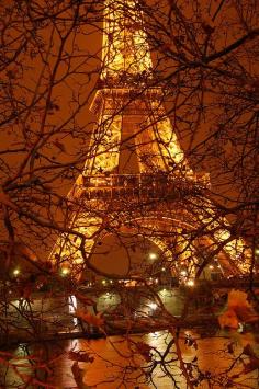 The Eiffel Tower in autumn