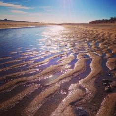 Low tide in Provincetown, Massachusetts. Photo courtesy of scplettner on Instagram.