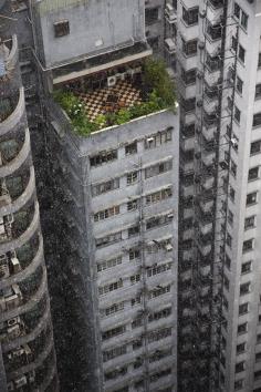 HK - Oasis in a Concrete Jungle