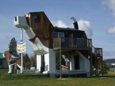 Gives a whole new meaning to being in the dog house. lol