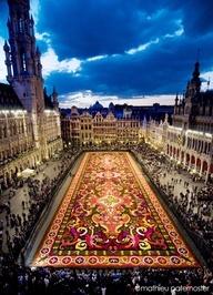 The Carpet of Flowers in Brussels, Belguim.