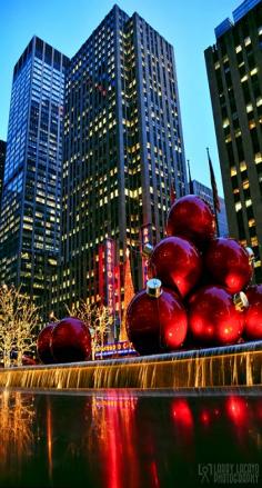 Christmas in New York City is absolutely amazing  gorgeous. It is a must see for everyone, United States.