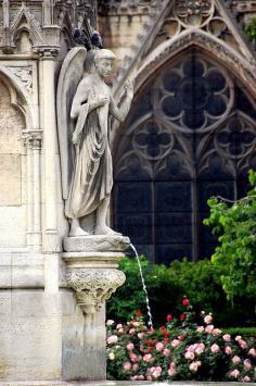 Cathédrale Notre Dame de Paris | photo by VT_ Professor     ᘡղbᘠ