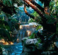 Mirage Hotel in Las Vegas - my 2nd favorite hotel b/c it has a rainforest throughout the hotel - AMAZING!!!