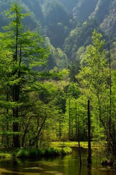 Kamikochi - mountainous highland in the western portion of Nagano, Japan