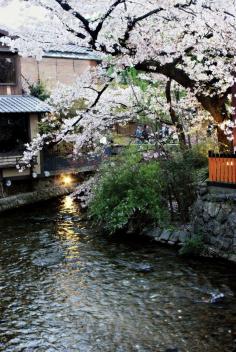 Kyoto stream, Japan 京都