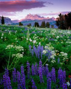 Death Canyon, Grand Teton National Park, Wyoming by John Richter