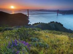 What Not to Do in San Francisco - Condé Nast Traveler
