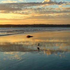 Coronado Beach in California. Photo courtesy of erinkate25 on Instagram.