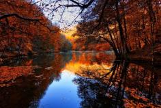 Photo autumn by erhan asik on 500px