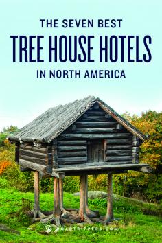 Let’s be honest, everyone wanted a treehouse as a kid. Here is a list of the top treehouse hotels in North America that you can travel to.