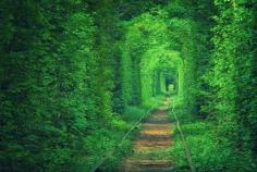 Take a romantic newlywed stroll through the Tunnel of Love in Klevan, Ukraine.