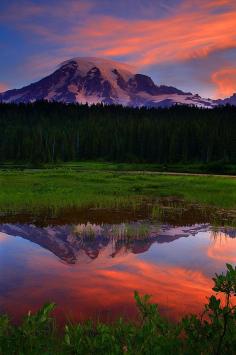 Sunrise in Mount Rainier National Park, Washington, United States