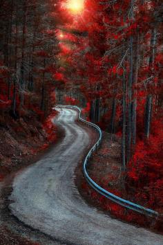 Autumn Road, Cuenca, Spain