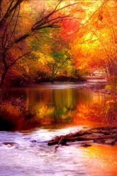 fall colors #fall #colors #outdoors