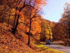 Fall Drives on the Blue Ridge Parkway through Virginia's Blue Ridge
