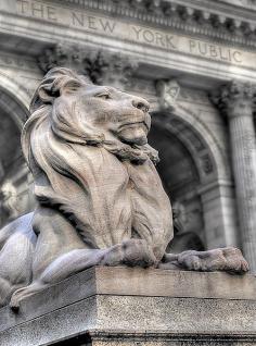 New York Public Library © Nitin Pai Photography