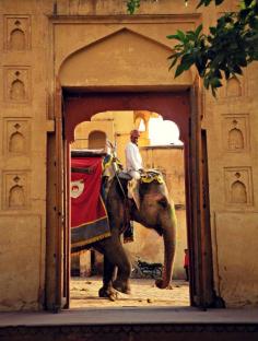 Fabulous shot in Jaipur  Photo by Andi Perullo de Ledesma  Capture The Colour Photo Contest | My Beautiful Adventures