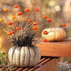 Pumpkin planters