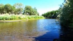 Carson River at Carson City – Royalty Free RV Travel