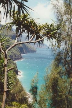 View of Kauai's Na Pali Coast  www.pinkcarryon.com