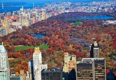Fall in NYC