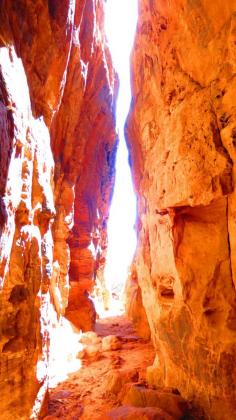 Utah's famous slot canyons! Jenny's Canyon in Snow Canyon State Park. More info here: www.mappingmegan....