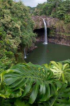 Rainbow Falls - Big Island, Hawaii  let's go for a swim!