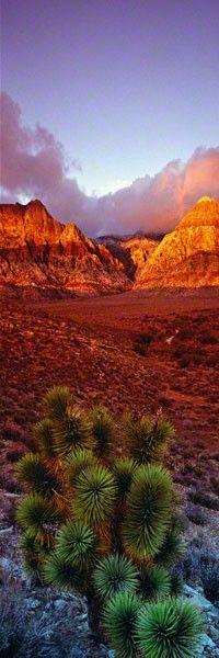 Red Rock Canyon, Nevada, United States.