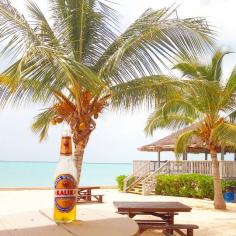 Sunshine and something to sip on in Eleuthera, Bahamas. photo courtesy of life_images13 on Instagram.