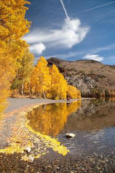 Eastern Sierra Gold