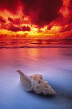 Shell Sunrise, Cairns, Queensland, Australia