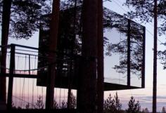 Treehotel  - mirror cube treehouse experience in Sweden
