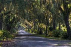 Savannah, Georgia | 29 Surreal Places In America You Need To Visit Before You Die