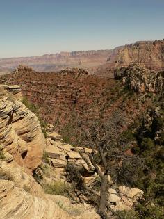 Grand Canyon, Arizona - Top 5 of the best family vacation spots in the USA