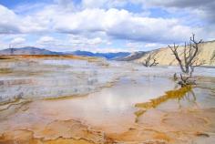 Mammoth Springs #yellowstone #nationalpark Discovered by MauOscar Blog Viagem at Mammoth Hot Springs, Park County, Wyoming