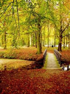 Castle de Haar, about 30 minutes outside of Amsterdam