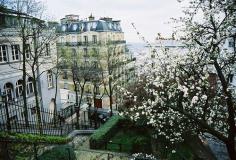 Spring Stroll in Paris