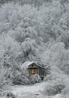 Cabin Surrounded By Winter