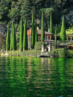 Green Cypress trees and reflections by The Villa, Lake Como, Italy