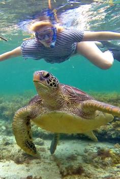 This is me. And a turtle, gasping for air. Photo taken in Apo Island, Philippines. @Just One Way Ticket