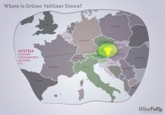 [Map] "Where is Grüner Veltliner grown" Jul-2013 by Winefolly.com - Over 80% of Grüner Veltliner wines come from Austria.