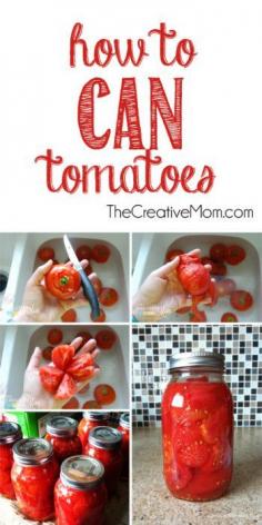 Ways to preserve your gardens food all year! #cantomato