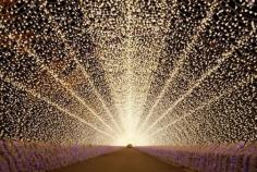 Lightgazing | Japan’s best illumination spots of 2013