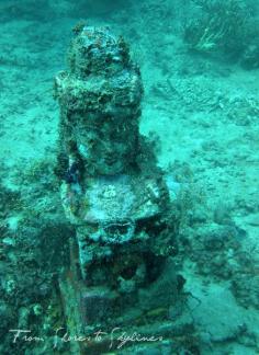 Underwater Temple Garden #ocean #diving #travel